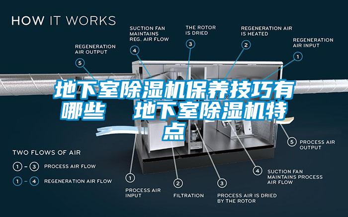 地下室芭乐APP下载官网入口新版保养技巧有哪些  地下室芭乐APP下载官网入口新版特点