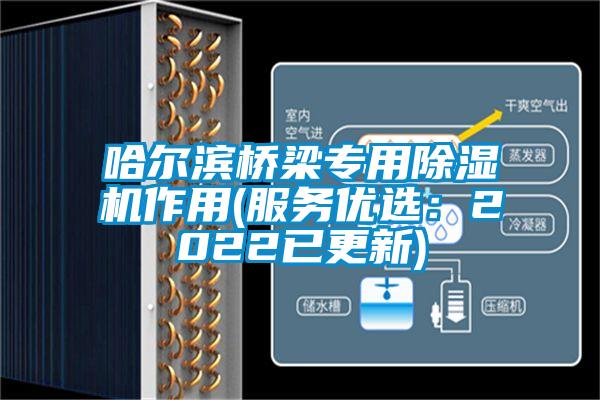 哈尔滨桥梁专用芭乐APP下载官网入口新版作用(服务优选：2022已更新)