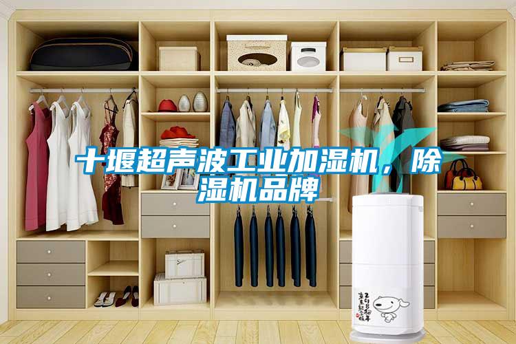 十堰超声波工业加湿机，芭乐APP下载官网入口新版品牌