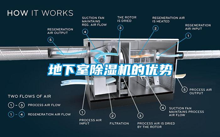 地下室芭乐APP下载官网入口新版的优势