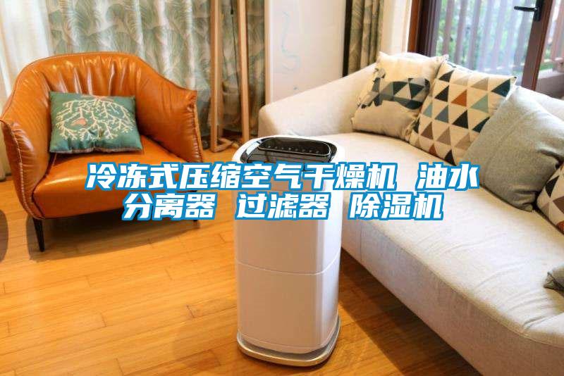 冷冻式压缩空气干燥机 油水分离器 过滤器 芭乐APP下载官网入口新版