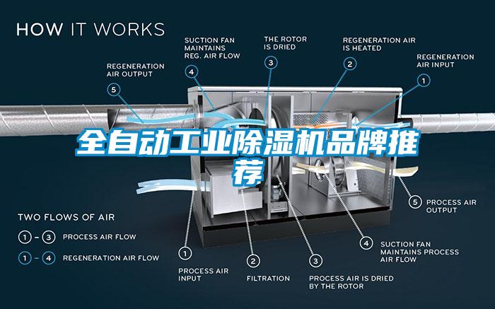 全自动工业芭乐APP下载官网入口新版品牌推荐