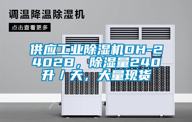 供应工业芭乐APP下载官网入口新版DH-2402B，除湿量240升／天，大量现货