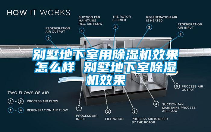 别墅地下室用芭乐APP下载官网入口新版效果怎么样 别墅地下室芭乐APP下载官网入口新版效果