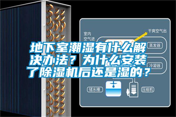 地下室潮湿有什么解决办法？为什么安装了芭乐APP下载官网入口新版后还是湿的？