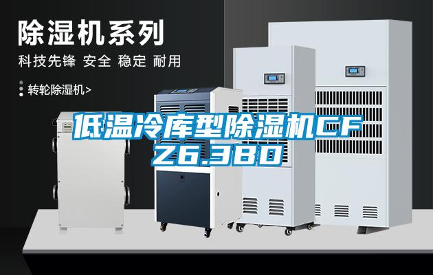 低温冷库型芭乐APP下载官网入口新版CFZ6.3BD