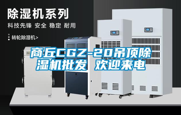 商丘CGZ-20吊顶芭乐APP下载官网入口新版批发 欢迎来电