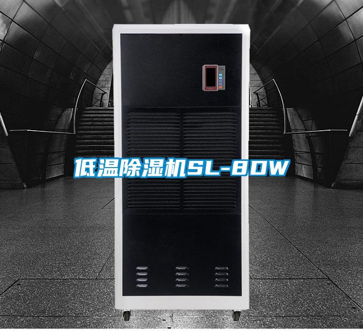 低温芭乐APP下载官网入口新版SL-8DW