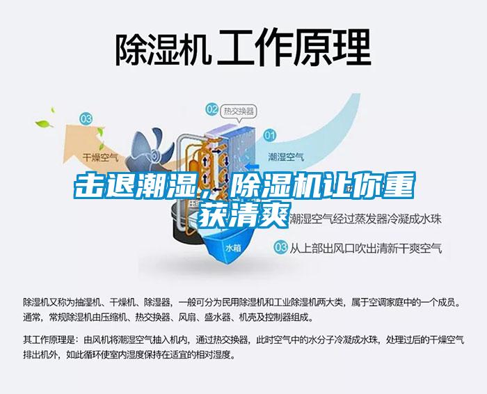 击退潮湿，芭乐APP下载官网入口新版让你重获清爽