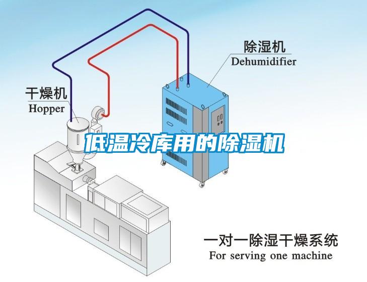 低温冷库用的芭乐APP下载官网入口新版