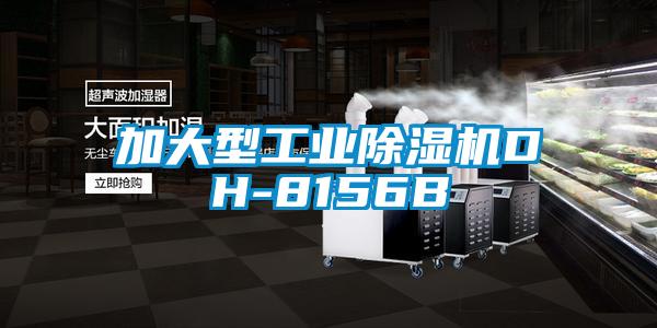 加大型工业芭乐APP下载官网入口新版DH-8156B