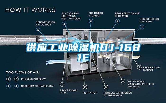 供应工业芭乐APP下载官网入口新版DJ-1681E