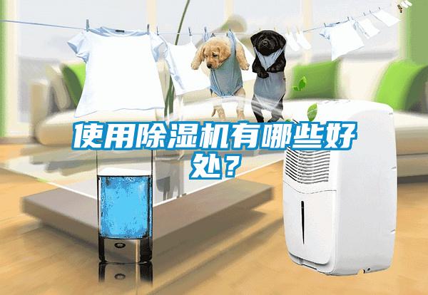 使用芭乐APP下载官网入口新版有哪些好处？