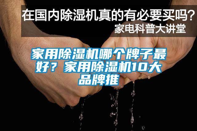 家用芭乐APP下载官网入口新版哪个牌子最好？家用芭乐APP下载官网入口新版10大品牌推