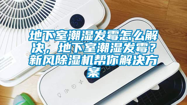 地下室潮湿发霉怎么解决，地下室潮湿发霉？新风芭乐APP下载官网入口新版帮你污芭乐成人