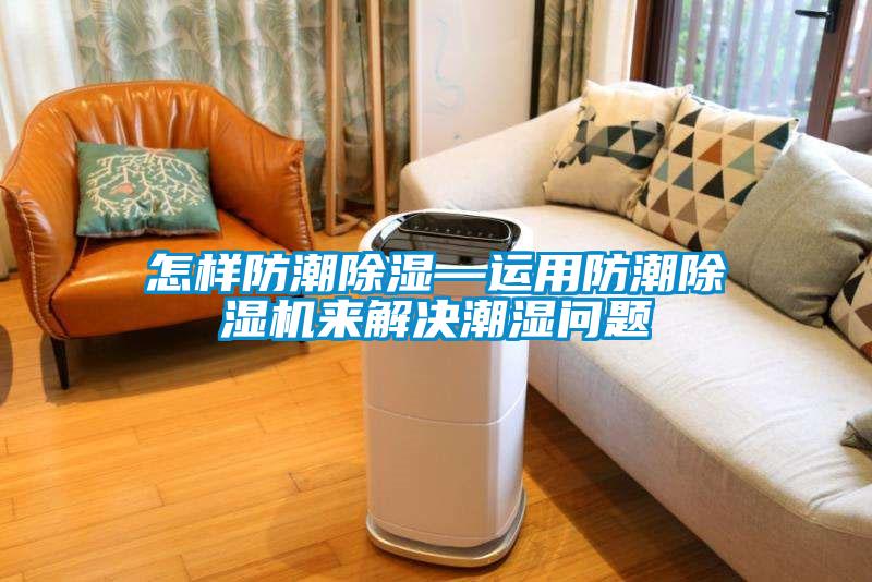 怎样防潮除湿—运用防潮芭乐APP下载官网入口新版来解决潮湿问题