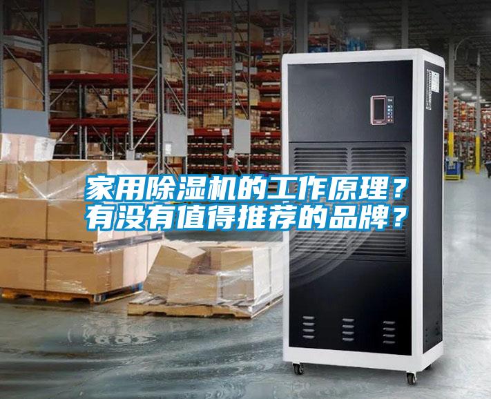 家用芭乐APP下载官网入口新版的工作原理？有没有值得推荐的品牌？