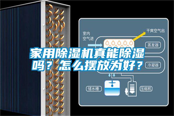 家用芭乐APP下载官网入口新版真能除湿吗？怎么摆放为好？