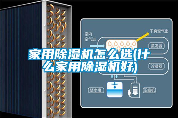 家用芭乐APP下载官网入口新版怎么选(什么家用芭乐APP下载官网入口新版好)