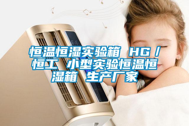 恒温恒湿实验箱 HG／恒工 小型实验恒温恒湿箱 生产厂家