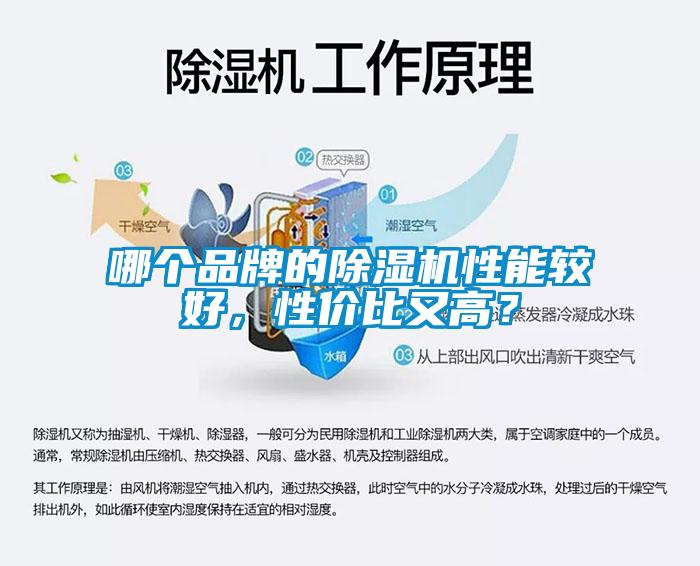 哪个品牌的芭乐APP下载官网入口新版性能较好，性价比又高？