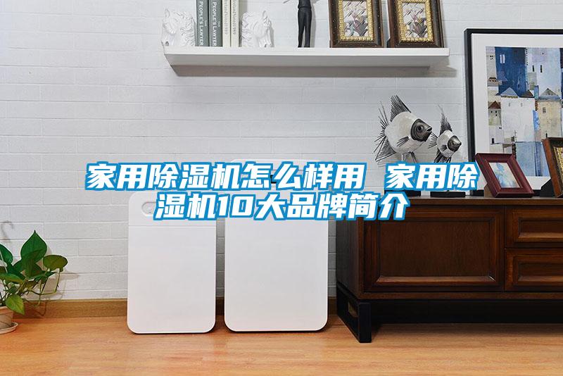 家用芭乐APP下载官网入口新版怎么样用 家用芭乐APP下载官网入口新版10大品牌简介