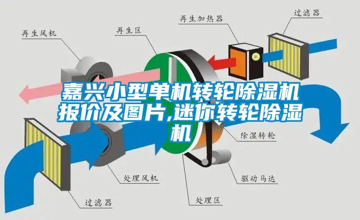 嘉兴小型单机转轮芭乐APP下载官网入口新版报价及图片,迷你转轮芭乐APP下载官网入口新版