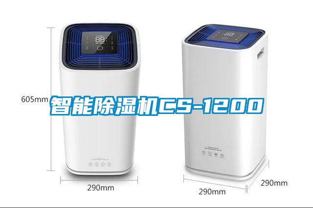 智能芭乐APP下载官网入口新版CS-1200