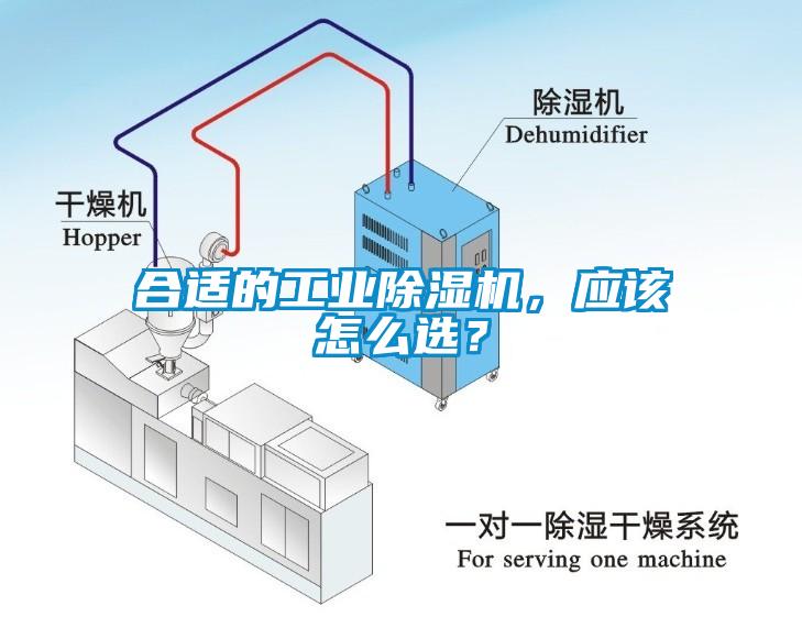 合适的工业芭乐APP下载官网入口新版，应该怎么选？