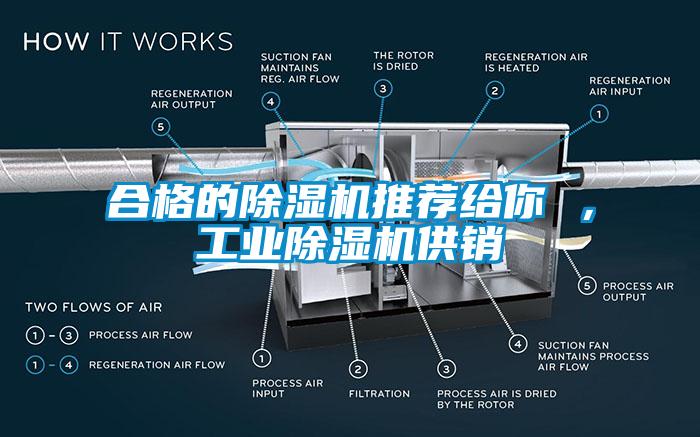 合格的芭乐APP下载官网入口新版推荐给你 ，工业芭乐APP下载官网入口新版供销