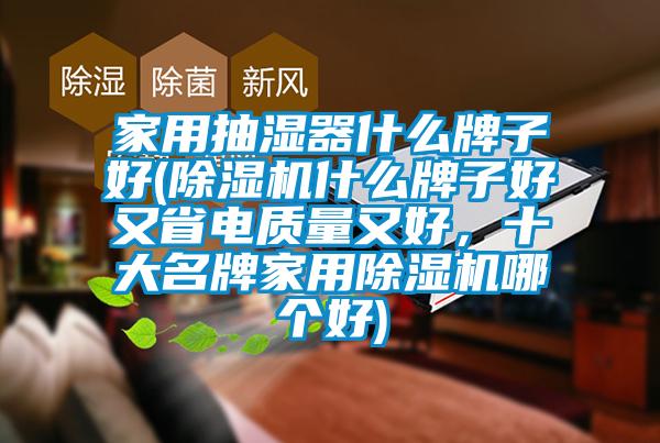 家用抽湿器什么牌子好(芭乐APP下载官网入口新版什么牌子好又省电质量又好，十大名牌家用芭乐APP下载官网入口新版哪个好)