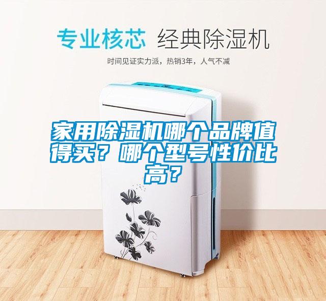 家用芭乐APP下载官网入口新版哪个品牌值得买？哪个型号性价比高？