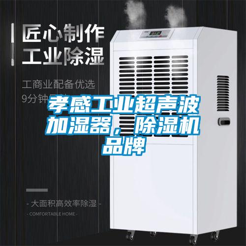 孝感工业超声波加湿器，芭乐APP下载官网入口新版品牌