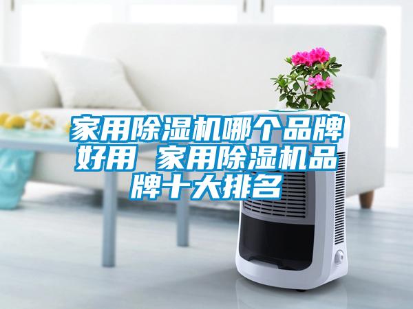 家用芭乐APP下载官网入口新版哪个品牌好用 家用芭乐APP下载官网入口新版品牌十大排名