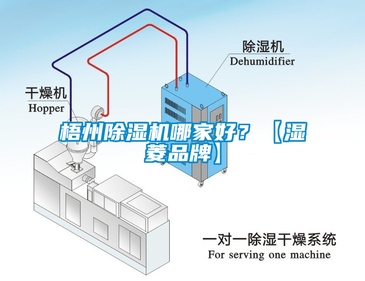 梧州芭乐APP下载官网入口新版哪家好？【湿菱品牌】