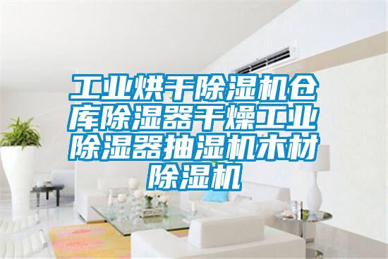 工业烘干芭乐APP下载官网入口新版仓库除湿器干燥工业除湿器抽湿机木材芭乐APP下载官网入口新版