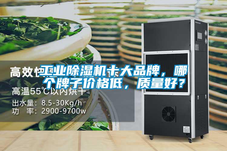 工业芭乐APP下载官网入口新版十大品牌，哪个牌子价格低，质量好？