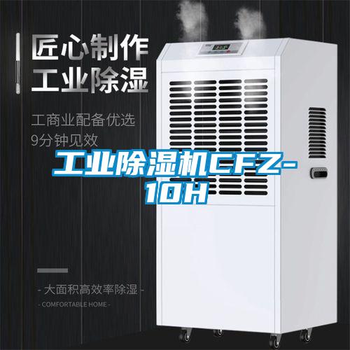 工业芭乐APP下载官网入口新版CFZ-10H