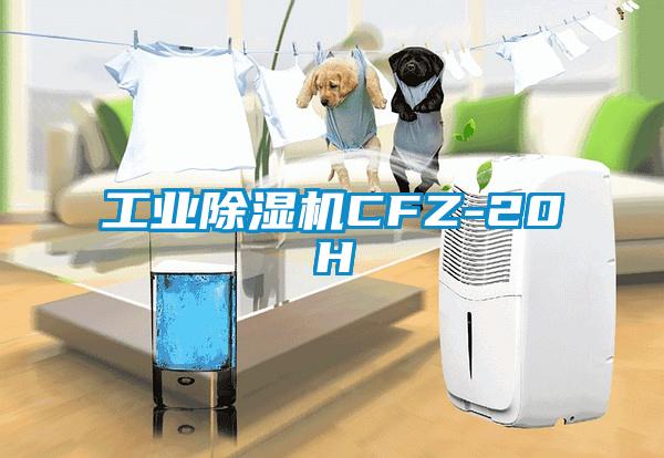 工业芭乐APP下载官网入口新版CFZ-20H