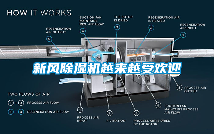 新风芭乐APP下载官网入口新版越来越受欢迎