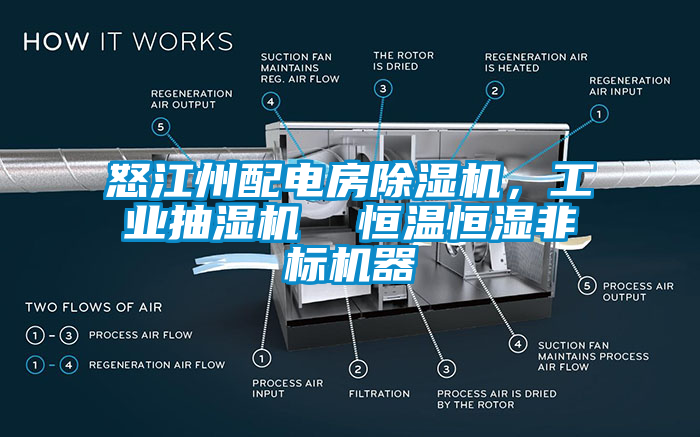 怒江州配电房芭乐APP下载官网入口新版，工业抽湿机  恒温恒湿非标机器