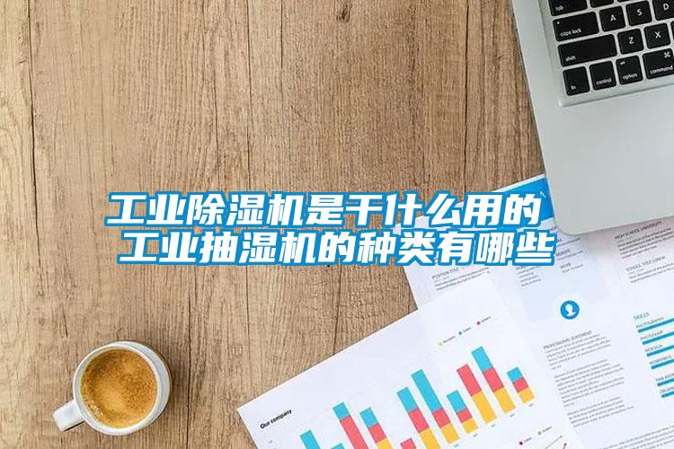 工业芭乐APP下载官网入口新版是干什么用的 工业抽湿机的种类有哪些