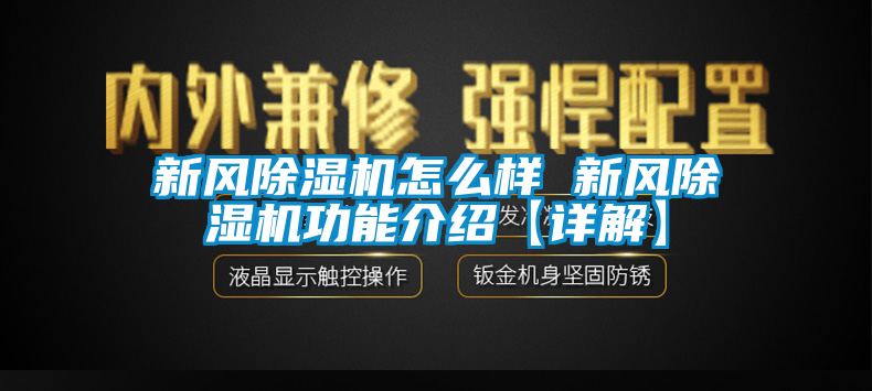 新风芭乐APP下载官网入口新版怎么样 新风芭乐APP下载官网入口新版功能介绍【详解】