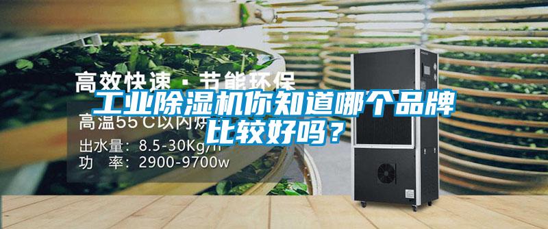 工业芭乐APP下载官网入口新版你知道哪个品牌比较好吗？