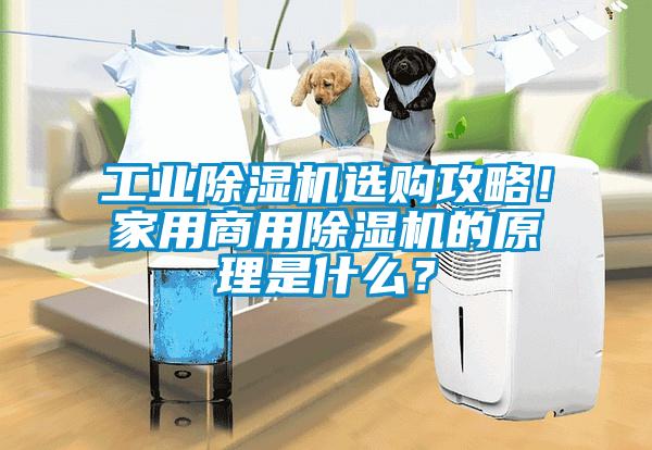 工业芭乐APP下载官网入口新版选购攻略！家用商用芭乐APP下载官网入口新版的原理是什么？