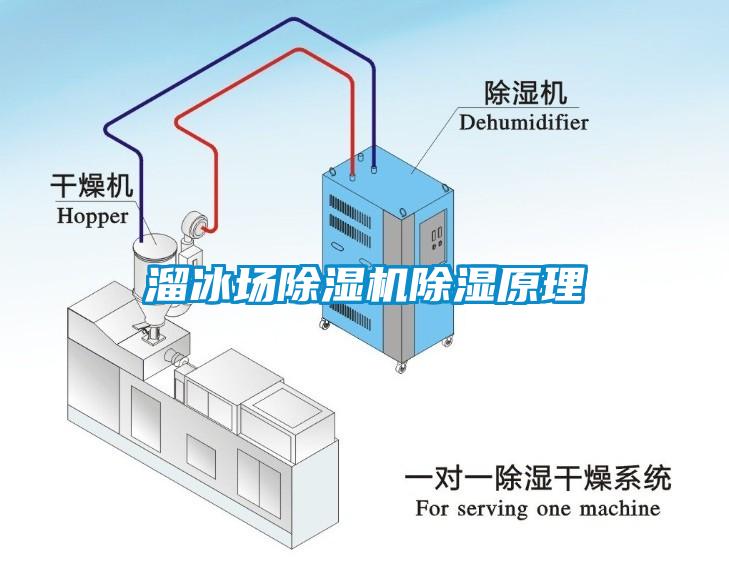 溜冰场芭乐APP下载官网入口新版除湿原理