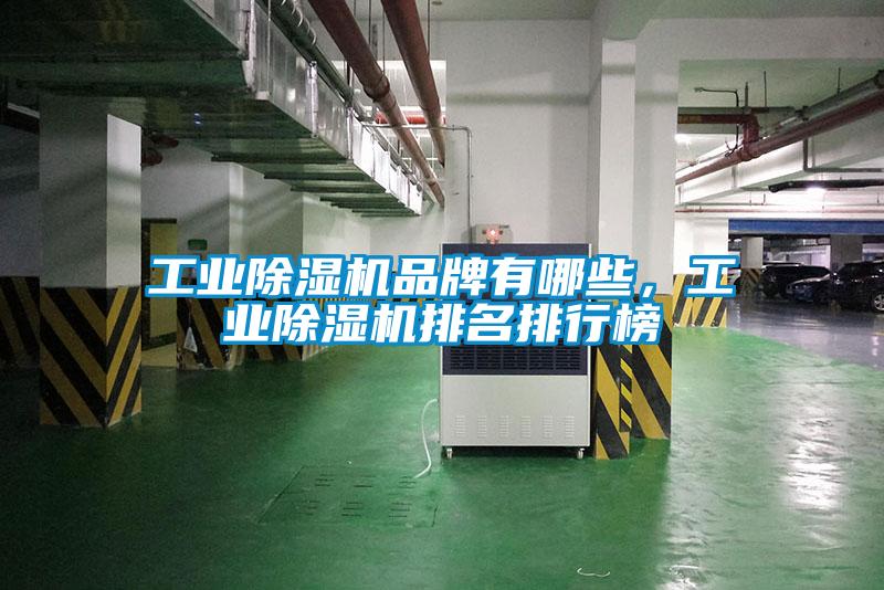 工业芭乐APP下载官网入口新版品牌有哪些，工业芭乐APP下载官网入口新版排名排行榜