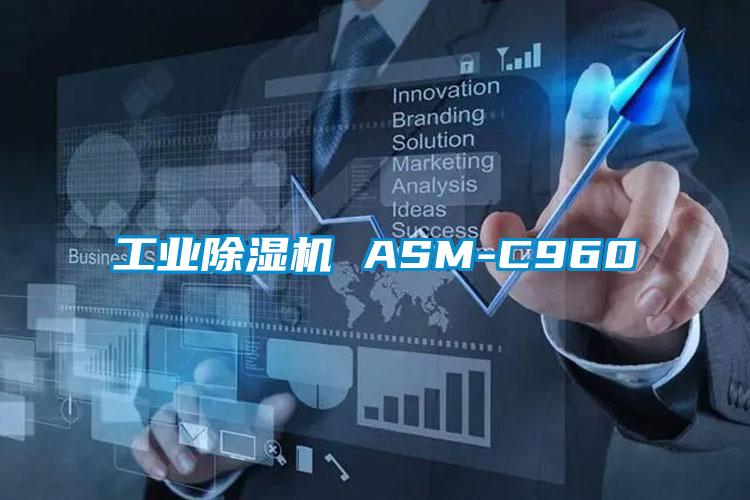 工业芭乐APP下载官网入口新版 ASM-C960