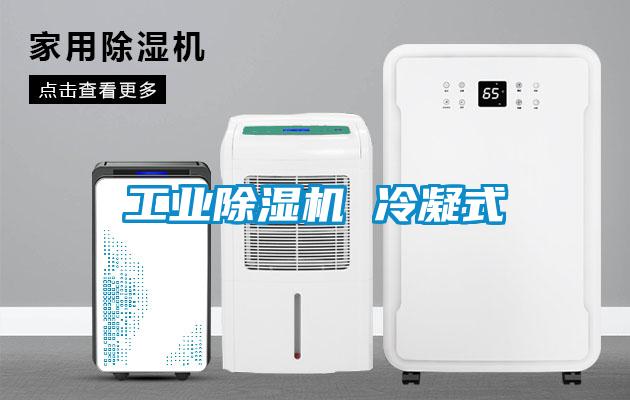 工业芭乐APP下载官网入口新版 冷凝式