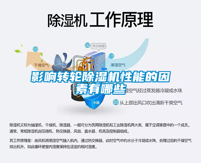 影响转轮芭乐APP下载官网入口新版性能的因素有哪些